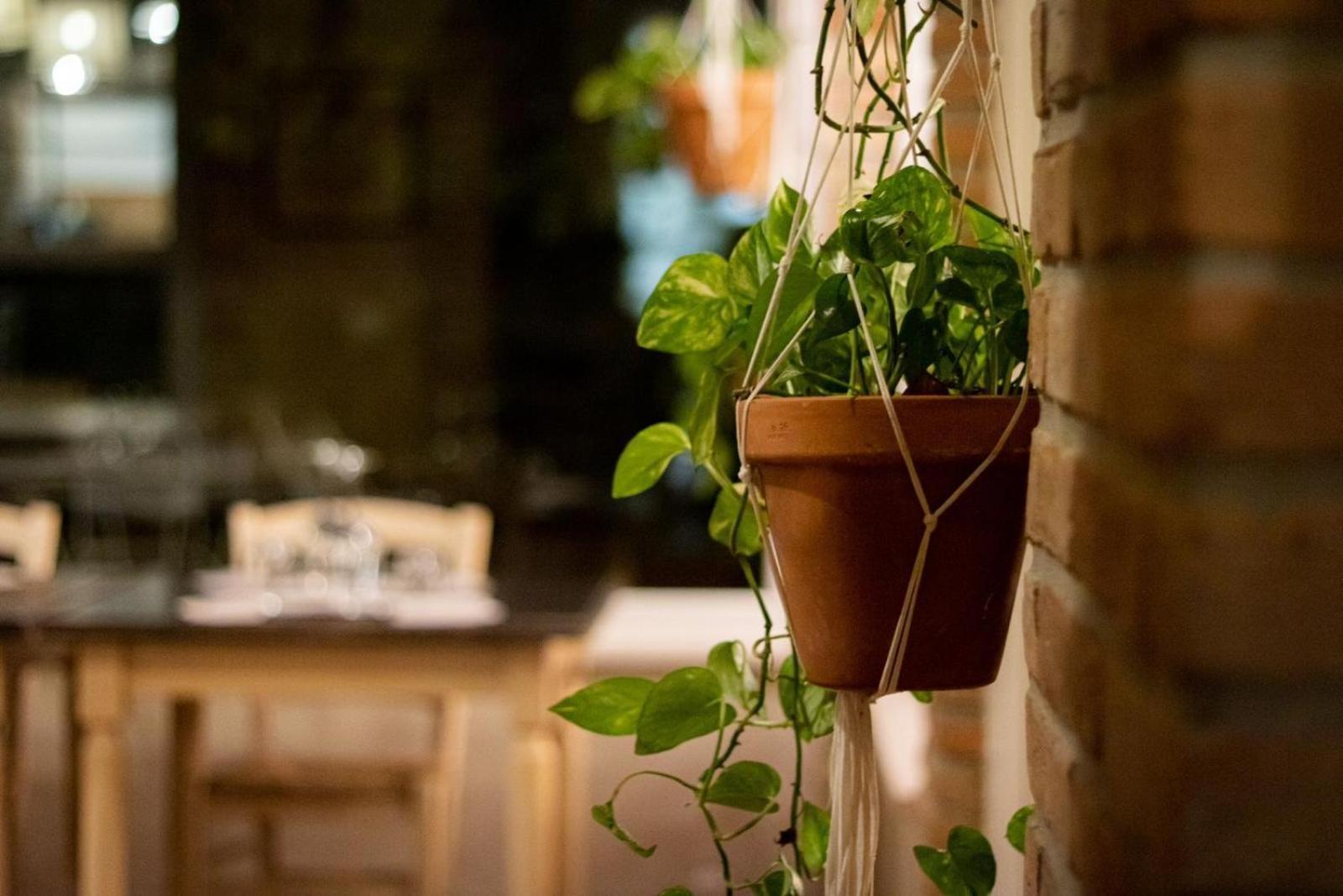 Вилла Agricola Casa Cucina Bottega Чезена Экстерьер фото