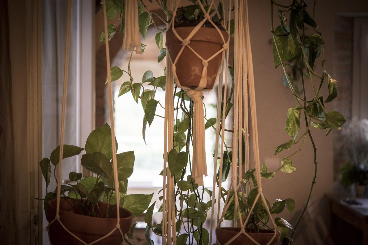Вилла Agricola Casa Cucina Bottega Чезена Экстерьер фото