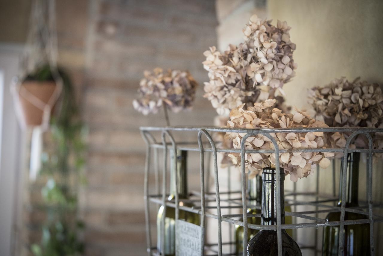 Вилла Agricola Casa Cucina Bottega Чезена Экстерьер фото
